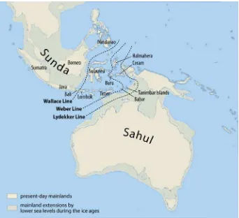 Gambar. 2.4. Pembatasan Lempeng Sahul dan Sunda oleh Lydekker Sumber: Lydekker Line. Wikipedia English 