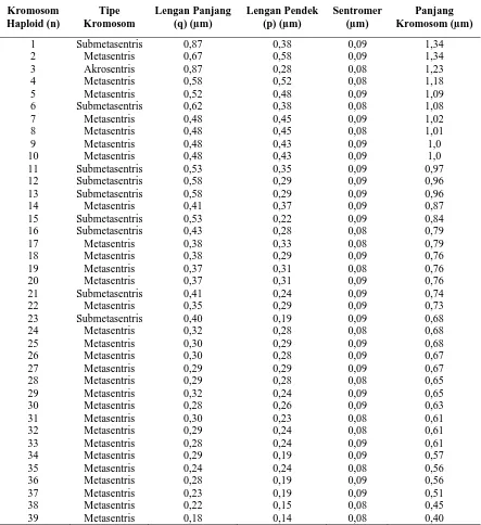Tabel 4.3 Tipe dan Panjang Lengan Kromosom Nepenthes reinwardtiana Miq. 