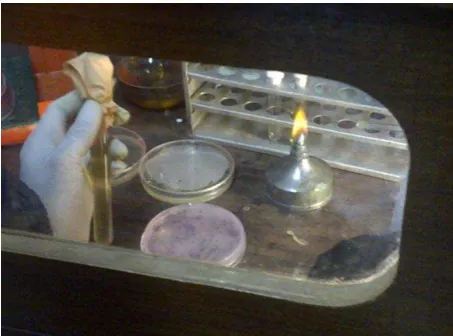 Gambar 3.6 Pembuatan media Muller Hinton agar 