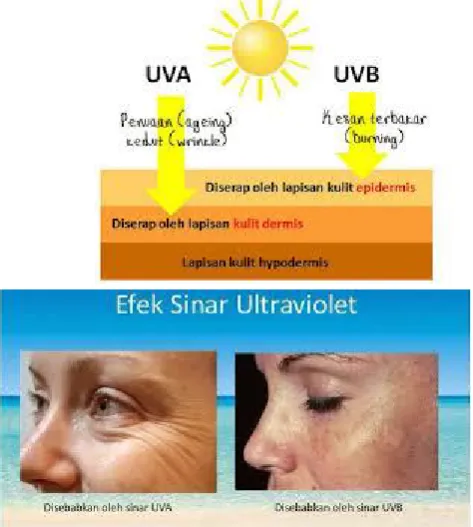 Gambar 3.1. Akibat Paparan Sinar Ultraviolet
