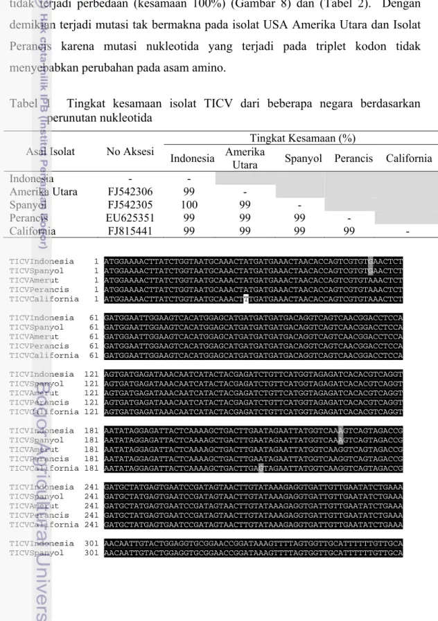 Tabel 1  Tingkat kesamaan isolat TICV dari beberapa negara berdasarkan  perunutan nukleotida 