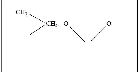 Gambar 2.4. Pembentukan dan pemecahan asetilkholin 
