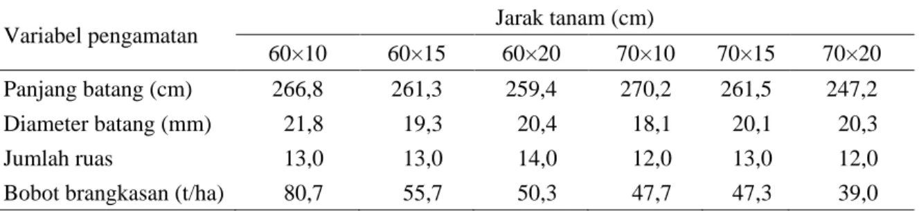 Tabel 1. Penampilan agronomik dan brangkasan varietas Numbu pada beberapa jarak tanam pada  umur 110 hst KP Maros (2016) 