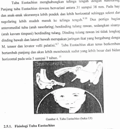 Gambar 4. Tuba Eustachius (buku UI)