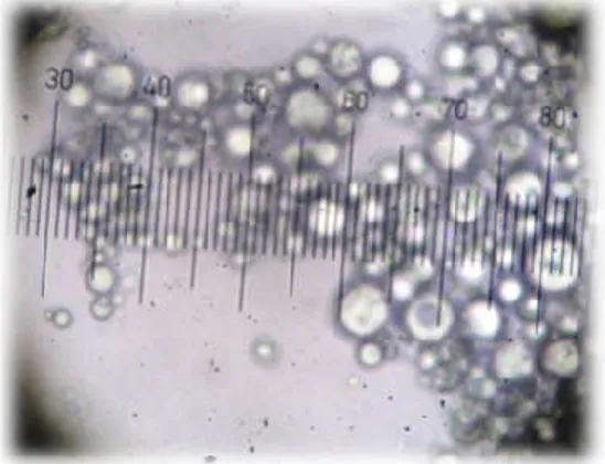 Gambar 7. Foto Micrograph Mikroskop  Optik Lateks Polistirena ALS 30% dengan  Perbesaran 400x 