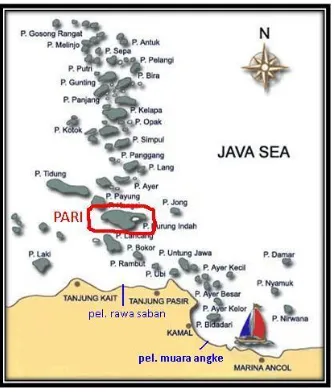 Gambar 1. Lokasi pengambilan teripang di sekitar perairan P. Pari dan P. Pramuka[11] 