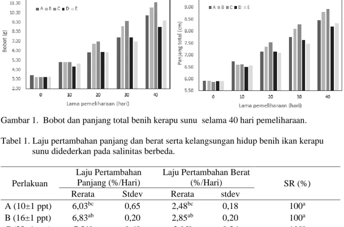 Gambar 1.  Bobot dan panjang total benih kerapu sunu  selama 40 hari pemeliharaan. 