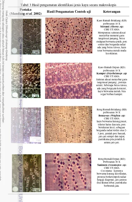 Tabel 3 Hasil pengamatan identifikasi jenis kayu secara makroskopis 