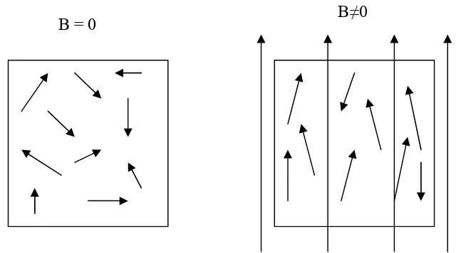 Gambar 2. 3. Orientasi momen magnetik bahan paramagnetik . (a) Tanpa adanya medan luar, (b) Dengan adanya medan luar(Sclater,1999)