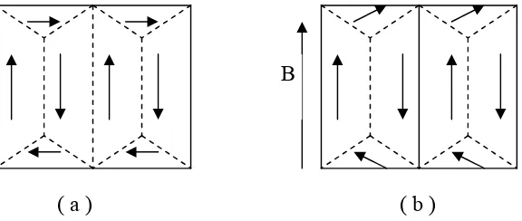 Gambar 2. 4. Struktur domain dalam material ferromagnetik, tanda panah menunjukkan arah magnetisasi