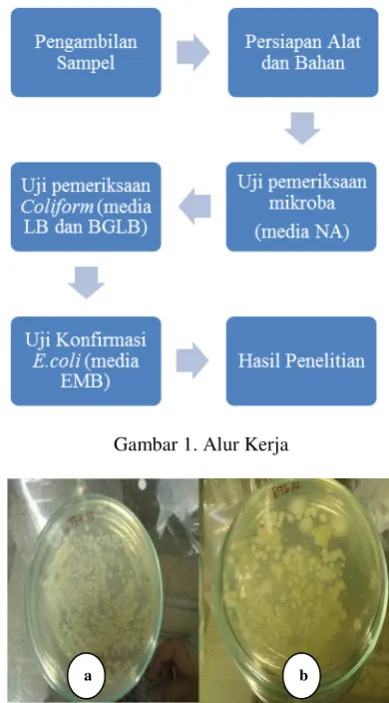 Gambar 1. Alur Kerja 