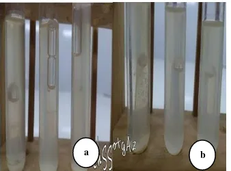 Gambar 3. Sampel hasil uji adanya mikroba dalam media LB (a) sampel minuman (b) sampel makanan