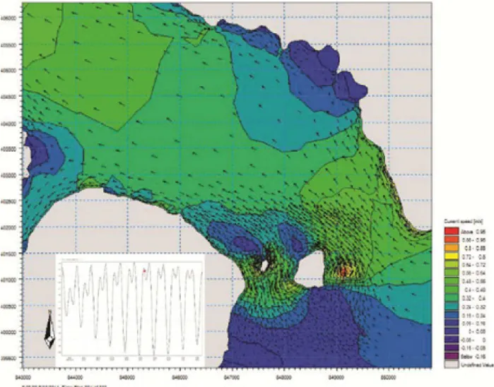 Gambar 12. Distribusi kecepatan arus laut maksimum pada lokasi penelitian hasil simulasi pemodelan arus laut.
