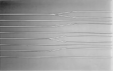 Figure 1. Photograph of the mask used to generate the waveguide structures used in the experiments 