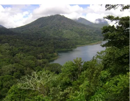 Gambar 2. Areal Taman Wisata Alam Danau Buyan-Tamblingan 