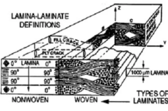 Gambar 2.5 Mikrostruktur lamina 