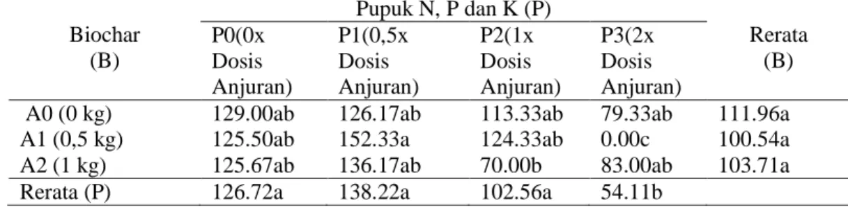 Tabel 3. Rerata tinggi tanaman cabai merah dengan pemberian biochar dan pupuk N,  P dan K (cm)  Biochar  (B)  Pupuk N, P dan K (P)  Rerata (B) P0(0x Dosis  Anjuran)  P1(0,5x Dosis  Anjuran)  P2(1x Dosis  Anjuran)  P3(2x Dosis  Anjuran) 