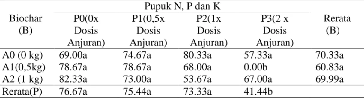 Tabel 4.  Rerata umur panen cabai merah dengan pemberian biochar dan pupuk N, P  dan K (hari)  Biochar  (B)  Pupuk N, P dan K  Rerata     (B) P0(0x  Dosis  Anjuran)  P1(0,5x Dosis  Anjuran)  P2(1x Dosis  Anjuran)  P3(2 x Dosis  Anjuran) 