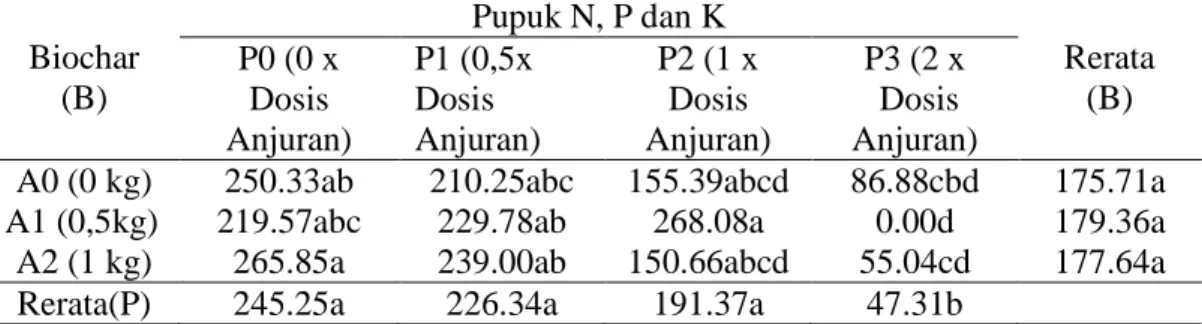 Tabel 6. Rerata berat buah segar tanaman cabai merah dengan pemberian biochar dan  pupuk N,  P dan K (g)  Biochar  (B)  Pupuk N, P dan K  Rerata (B) P0 (0 x  Dosis  Anjuran)  P1 (0,5x Dosis  Anjuran)  P2 (1 x  Dosis  Anjuran)  P3 (2 x  Dosis  Anjuran) 
