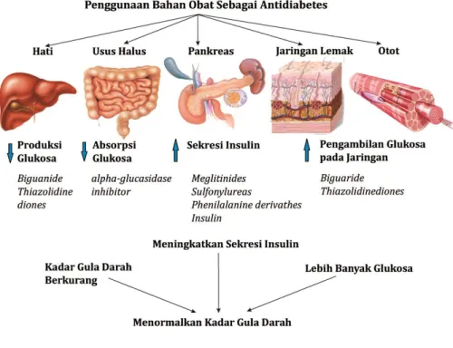 Gambar 2.4 Mekanisme Obat Anti Diabetes (Nadjeb, 2010)  Sumber : http://www.nadjeeb.wordpress.com/2010 