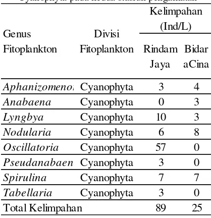 Tabel 5. Keragaman fitoplankton dari divisi Cyanophyta pada kedua stasiun pengamatan 