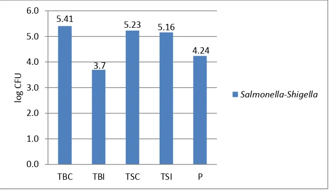 Gambar 6. Grafik Jumlah Entrobacter total 