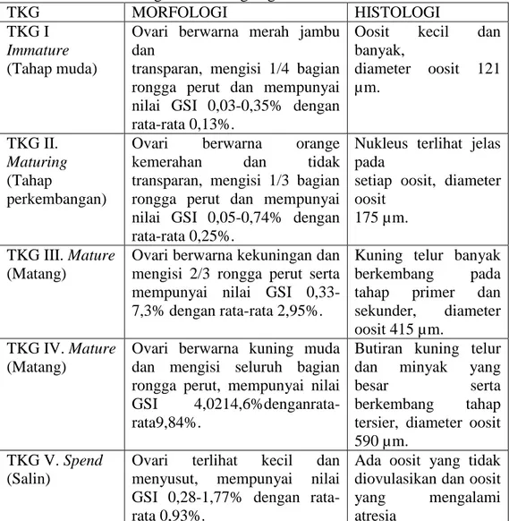 Tabel 2  Klasifikasi tingkat kematangan gonad 