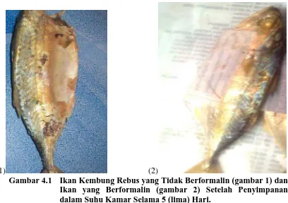Gambar 4.1 Ikan Kembung Rebus yang Tidak Berformalin (gambar 1) dan Ikan yang Berformalin (gambar 2) Setelah Penyimpanan dalam Suhu Kamar Selama 5 (lima) Hari