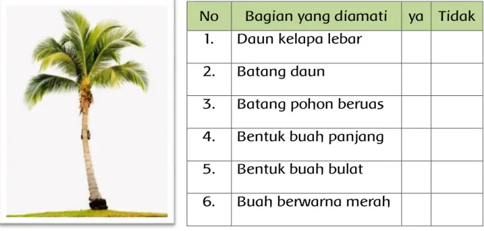 Tabel 2.1  Format hasil pengamatan bagian pohon
