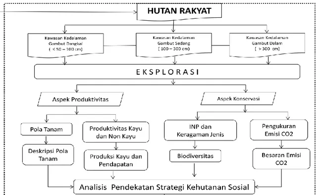 Gambar  1.  Ruang  lingkup  penelitian  strategi  pembangunan  hutan  rakyat  untuk  rehabilitasi lahan gambut di Kalimantan Tengah  
