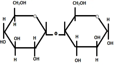 Gambar 2.1   struktur sellulosa 