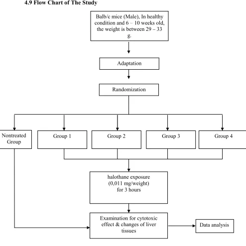 Fig 5. Flow chart of the study 