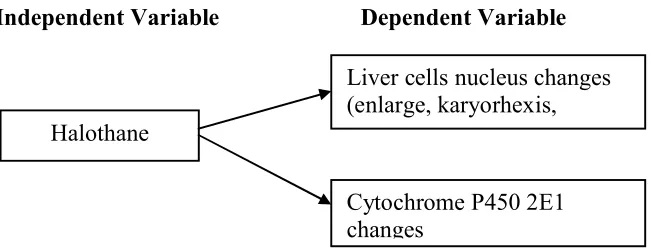 Figure 3. Conceptual Framework of the study 