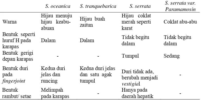 Tabel 2.1. Morfologi Kepiting Bakau 