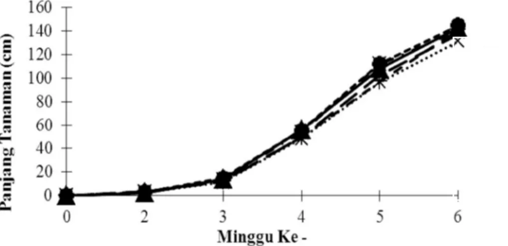 Gambar 1. Pengaruh pupuk Organonitrofos dan kombinasinya dengan pupuk anorganik terhadap panjang tanaman mentimun.  Keterangan:     A= Kontrol (tanpa pupuk),       B=100 kg urea ha -1 , 200 kg SP-36 ha -1 , 100