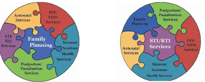 Gambar 1. Paket layanan kesehatan reproduksi dan seksual sepanjang siklus hidup 11.