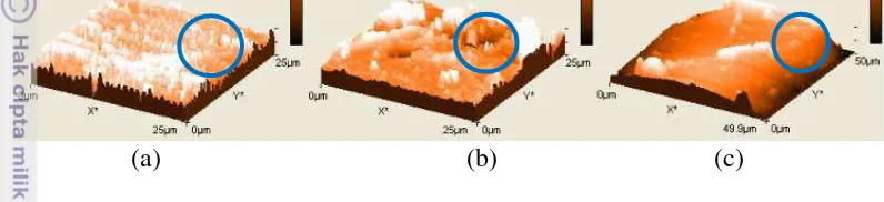 Gambar 9  Topografi AFM pada PS(a), PSS(b), dan PSS – natrium alginat 7%(c) 