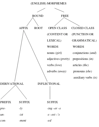 FIGURE 2.2 Classification of English morphemes 