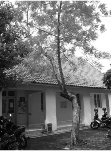 Gambar 1. Pohon Mimba 