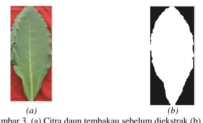 Gambar 3. (a) Citra daun tembakau sebelum diekstrak (b)  Citra daun  tembakau setelah diekstrak berdasarkan bentuk 