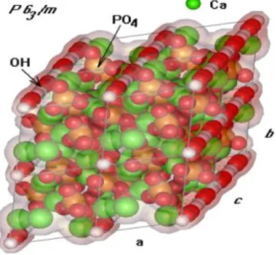 Gambar 2 Struktur Kristal HA (Ca 10 (PO 4 ) 6 (OH) 2 ) 