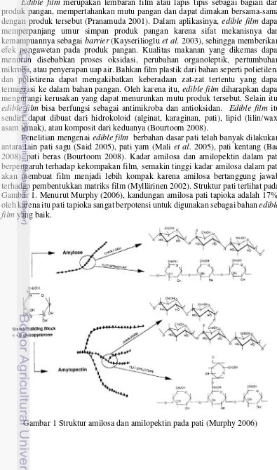 Gambar 1 Struktur amilosa dan amilopektin pada pati (Murphy 2006) 