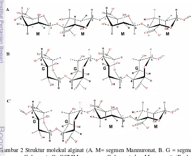 Gambar 2 Struktur molekul alginat (A. M= segmen Mannuronat, B. G = segmen  