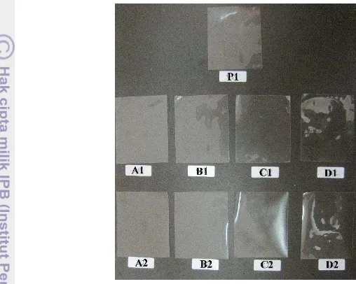 Gambar 3  Pengamatan visual edible filmtransparan secara kasat mata. Penambahan konsentrasi natrium alginat membuat edible filmkomposisi pati-Na alginat 80:20% dengan sorbitol 1% dan 2% (v/v) (D1 dan D2) yang memiliki tingkat transparan lebih tinggi