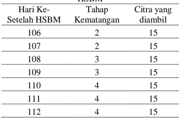 Tabel 1. Proses Pengambilan Citra Setelah  HSBM  Hari Ke-  Setelah HSBM  Tahap  Kematangan  Citra yang diambil  106  2  15  107  2  15  108  3  15  109  3  15  110  4  15  111  4  15  112  4  15 