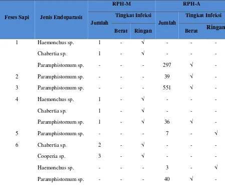 Tabel. 4.3 Jumlah Dan Tingkat Infeksi Telur Cacing Endoparasit Di RPH 