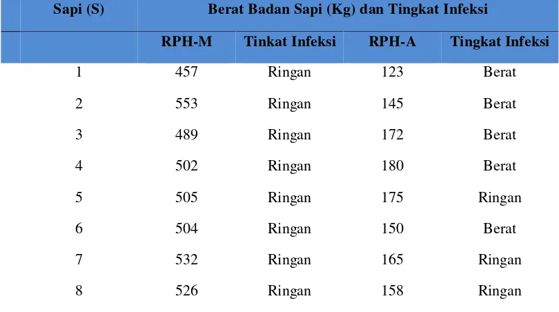 Tabel 4.4. Data Berat Badan Sapi yang Di potong Di RPH Medan Dan 