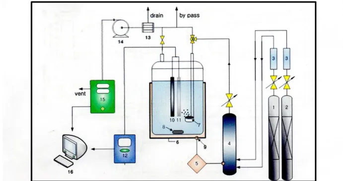Gambar 1.1 Instalasi pemurnian biogas dengan menggunakan       NaOH aqueous (Miran Yoo 2013)