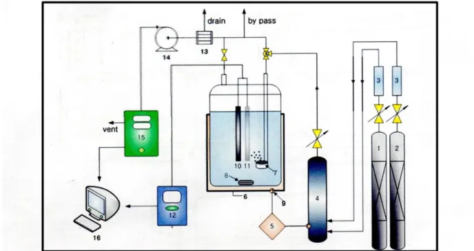 Gambar 1.1 Instalasi pemurnian biogas dengan menggunakan       NaOH aqueous (Miran Yoo 2013)
