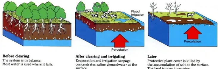 Gambar 1. Diagram skematik perubahan distribusi garam di lanskap karenaperubahan penggunaan lahan.